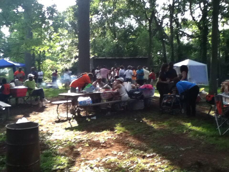 Picniccrowd1